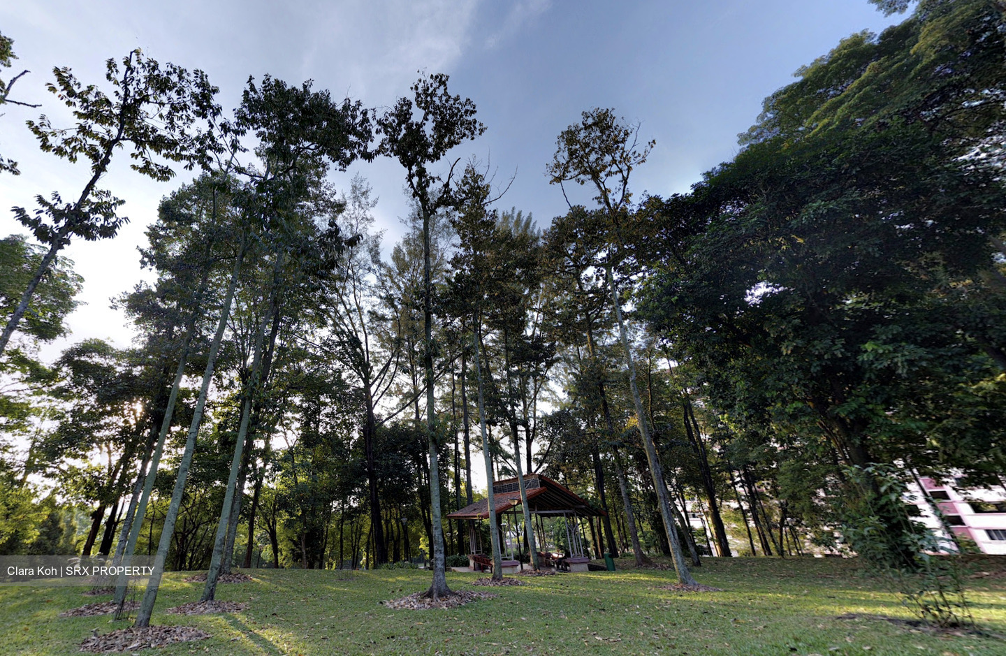Blk 605 Choa Chu Kang Street 62 (Choa Chu Kang), HDB Executive #597177031